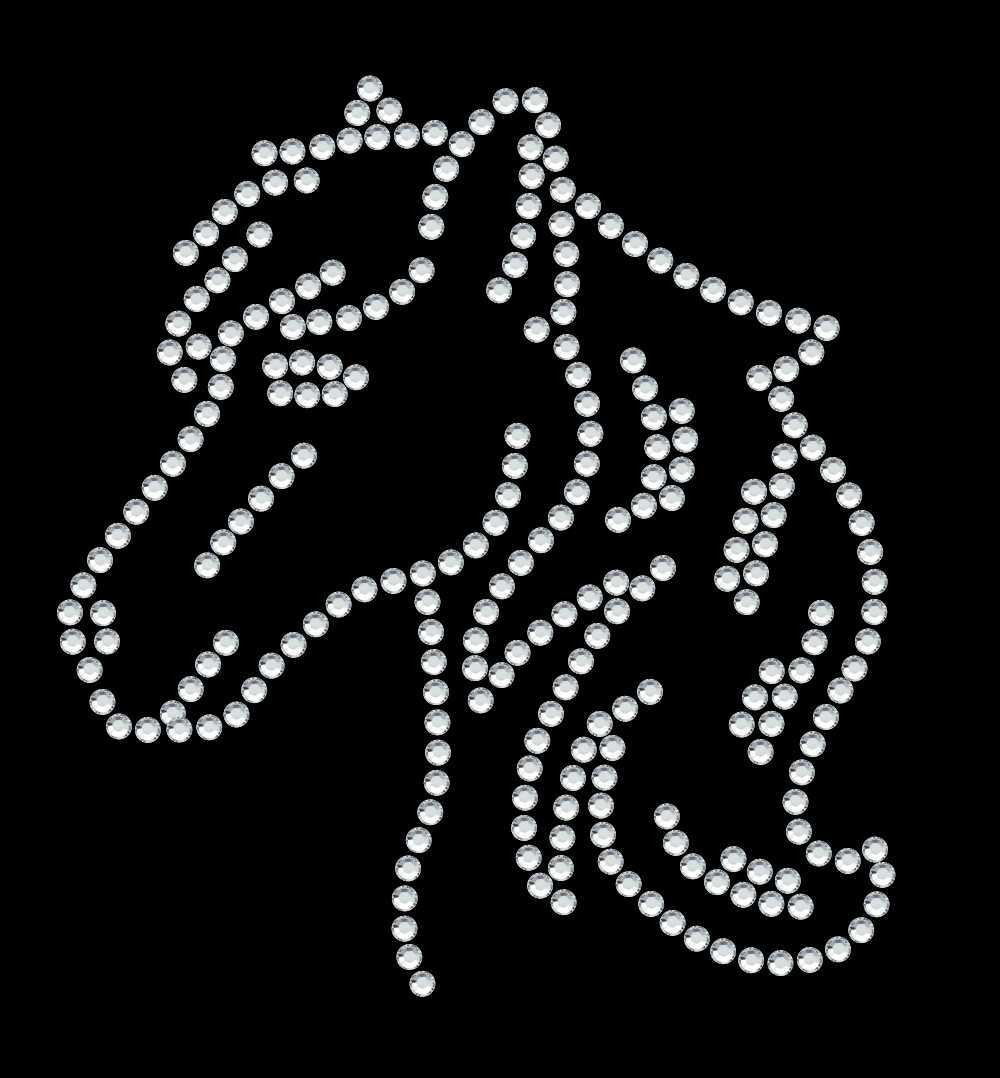 Horse Head