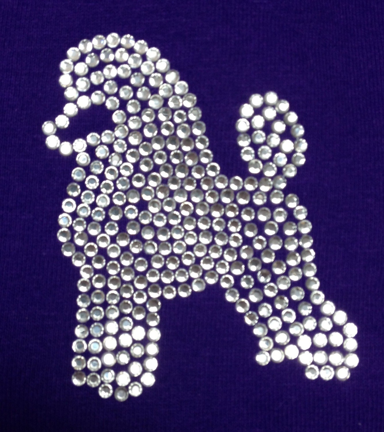 Poodle, Standard