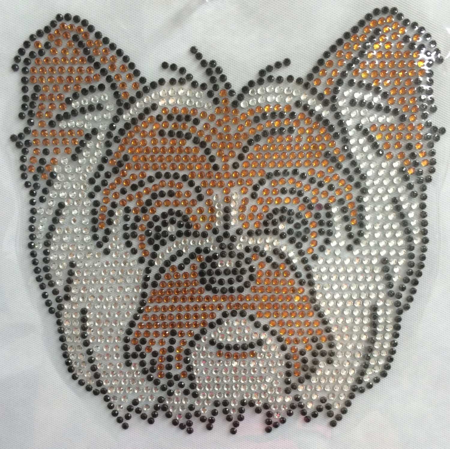Yorkie Terrior