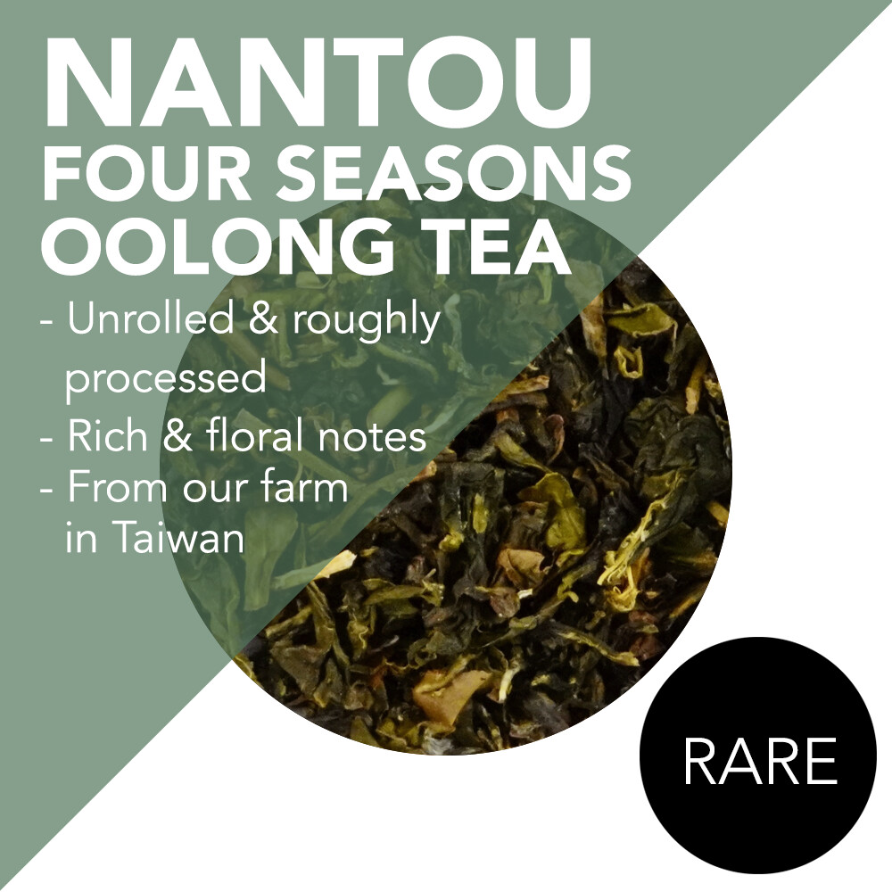 *RARE* Unrolled and Roughly Processed Nantou Four Seasons Oolong Tea