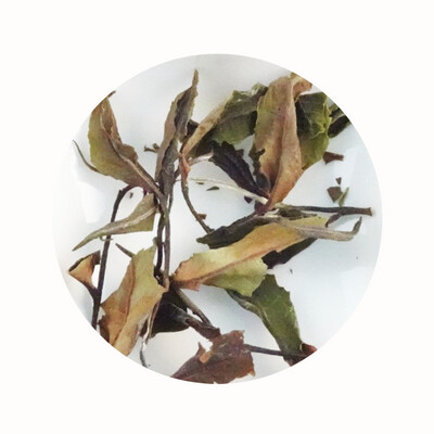 White Tea
