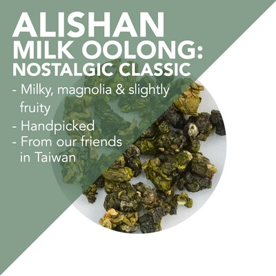 Handpicked Alishan Milk Oolong – Nostalgic Classic - Winter 2018 – milky, magnolia, and slightly fruity