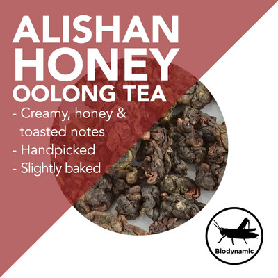 Handpicked Alishan Honey Oolong – Winter 2018 - Creamy, honey and toasted notes
