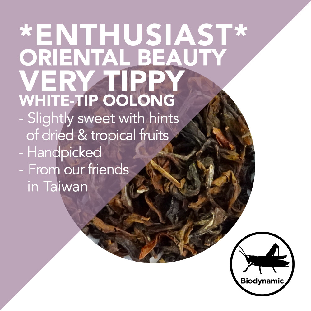 *Enthusiast* Oriental Beauty Tea - Tippy White-Tip Oolong - Handpicked
