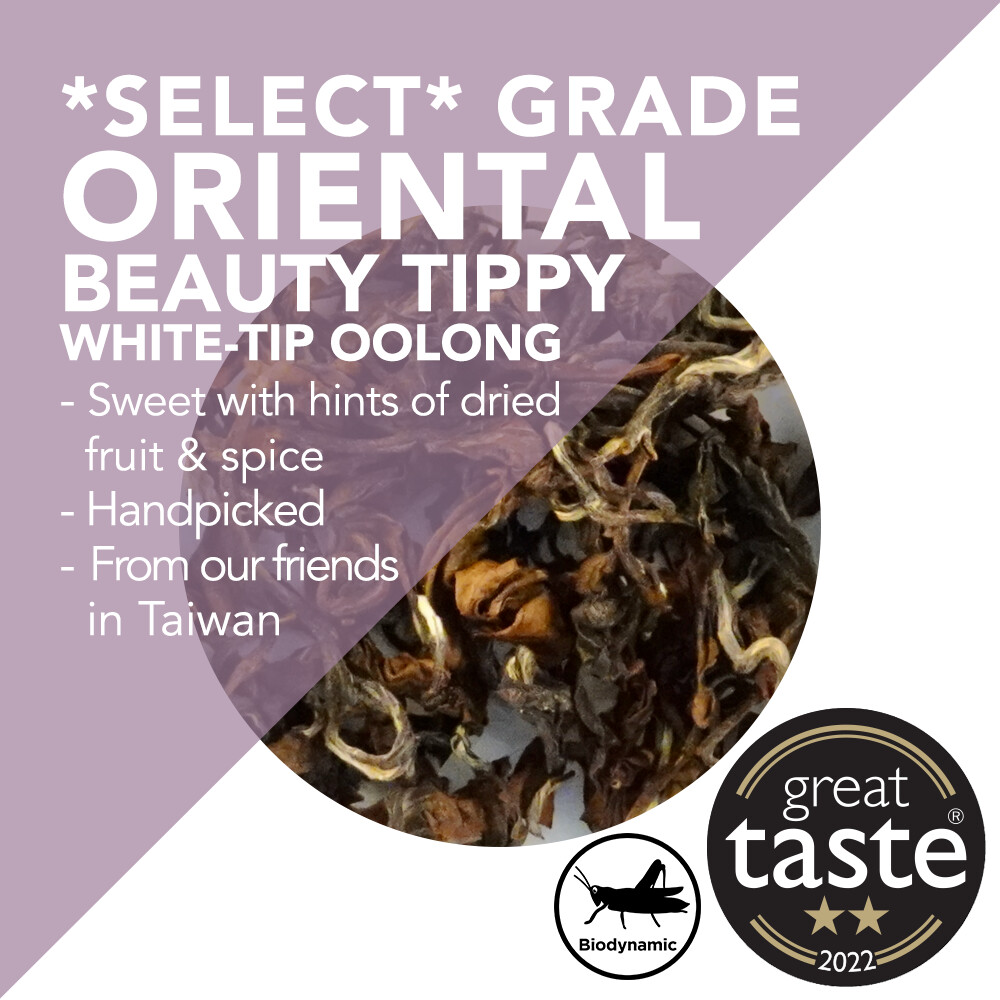 *Select* Grade Oriental Beauty Tea - Tippy White-Tip Oolong - Handpicked