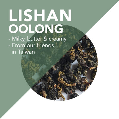*Rare* Handpicked Lishan Milk Oolong – Exceptionally creamy high mountain tea from 2000m