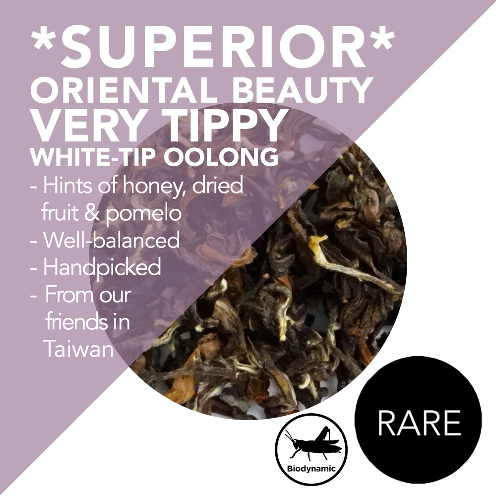*Superior* Oriental Beauty Tea - Very Tippy White-Tip Oolong - Handpicked