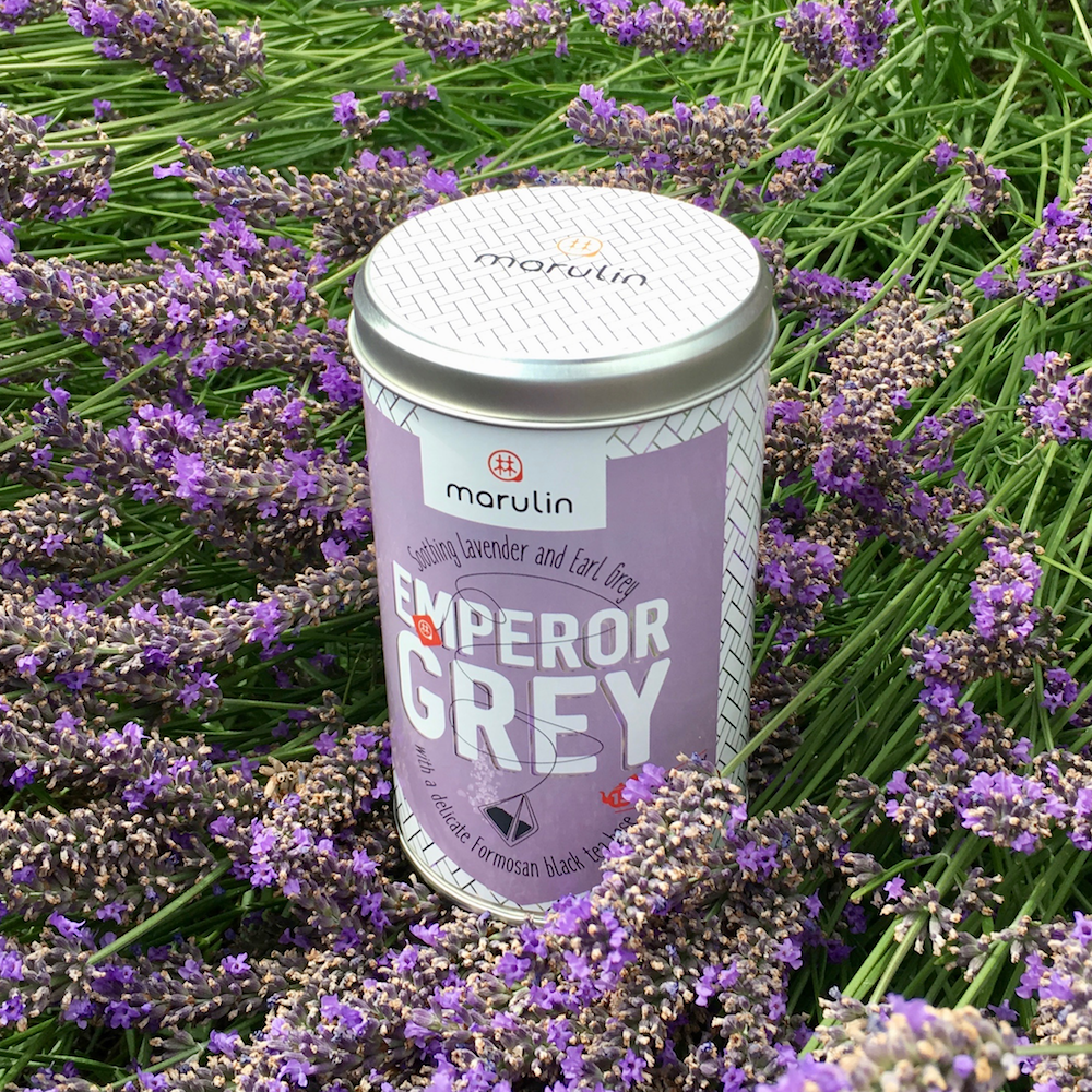 Gift Caddy / Tin