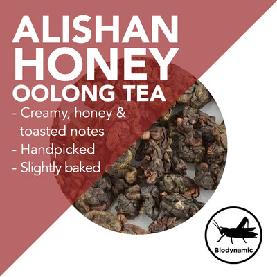 Handpicked Alishan Honey Oolong - Creamy, honey and toasted notes