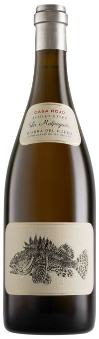 Casa Rojo - Tokyo "La Malpagada"