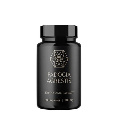 Nature&#39;s Body Fadogia Agrestis 20:1 Organic Premium