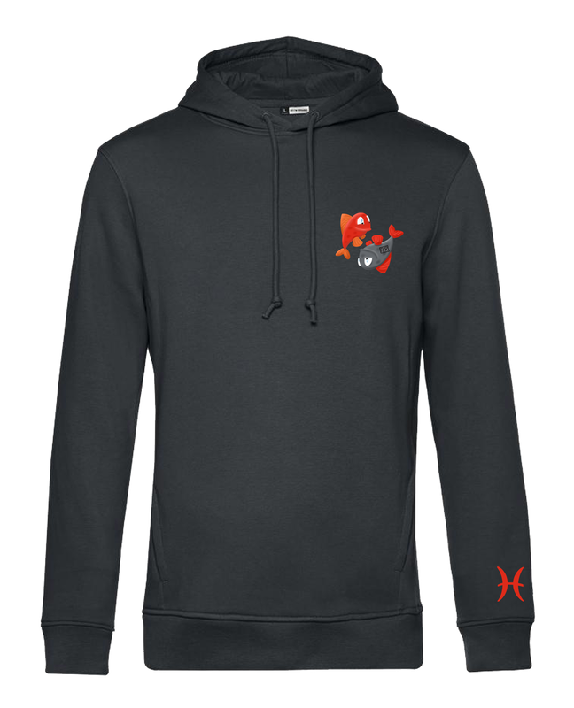 Hoodie Horoscoop Vissen