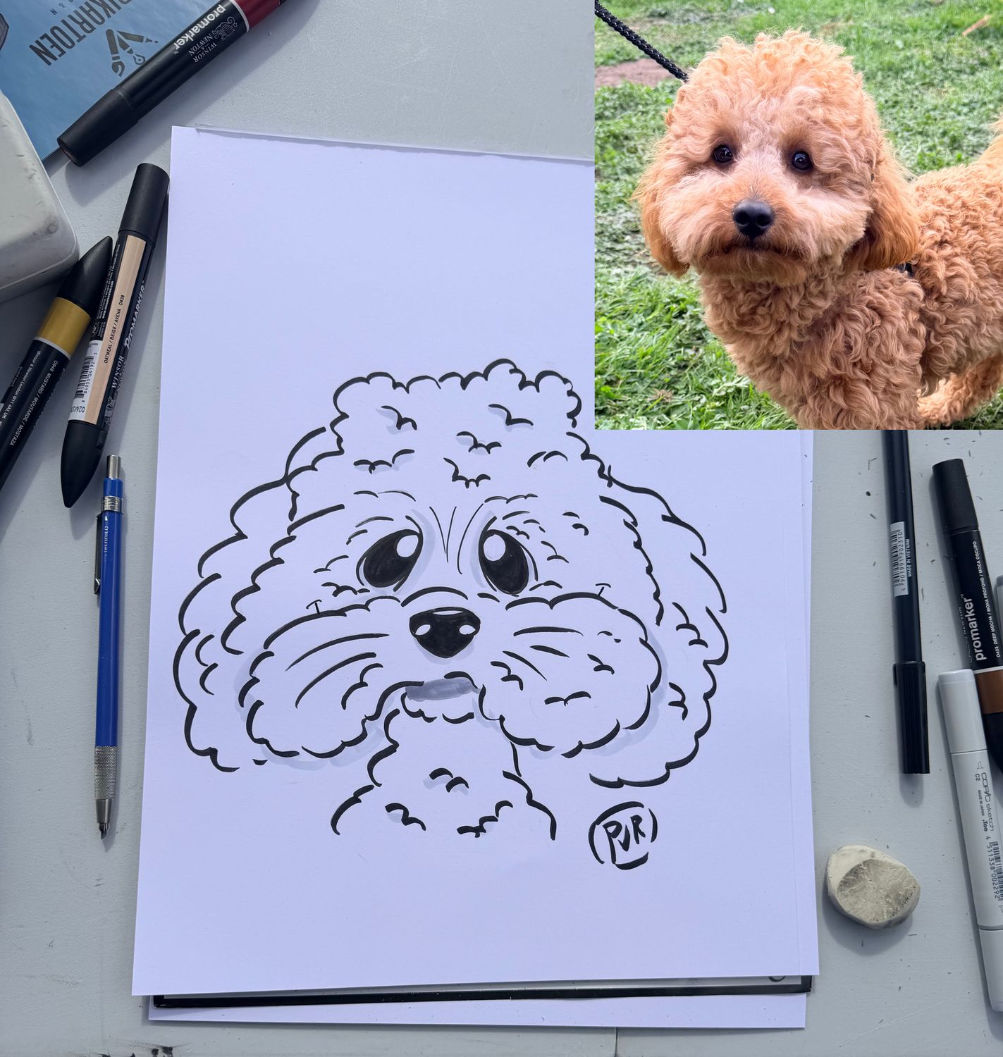 Karikatuur huisdier op papier