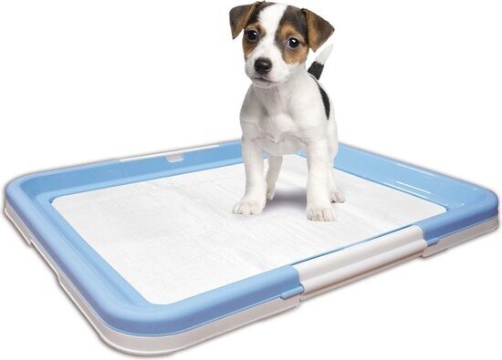 🐶 Karlie Puppy Trainer M + 10 Pads – 40 x 60 cm | Zindelijkheidstraining ✨