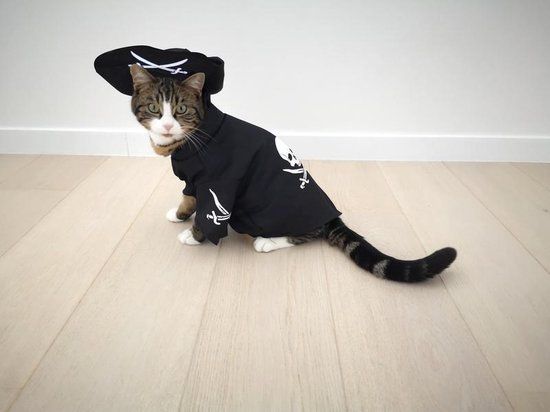 🏴‍☠️ Showtime Huisdier Kostuum Piraat – Ahoy, Kleine Piraat! ✨