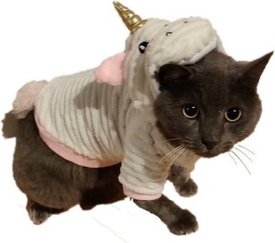 Showtime Huisdierenkostuum Eenhoorn