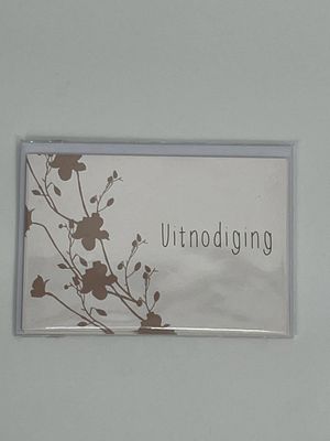 Uitnodigingskaartjes met omslag 5 stuks