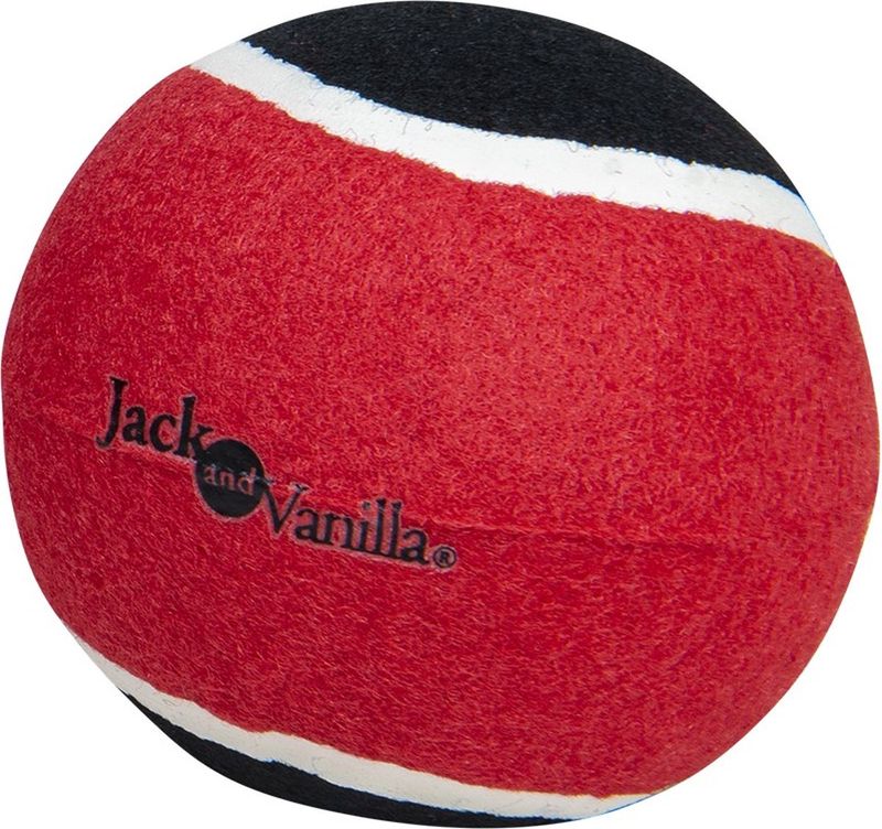 🎾 Hondenspeelgoed tennisballen 3 stuks