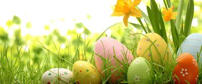 🐣 🐰 Easter decoration &amp; Easter items