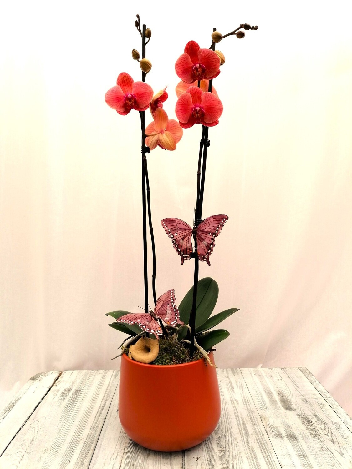 Orchideecompositie