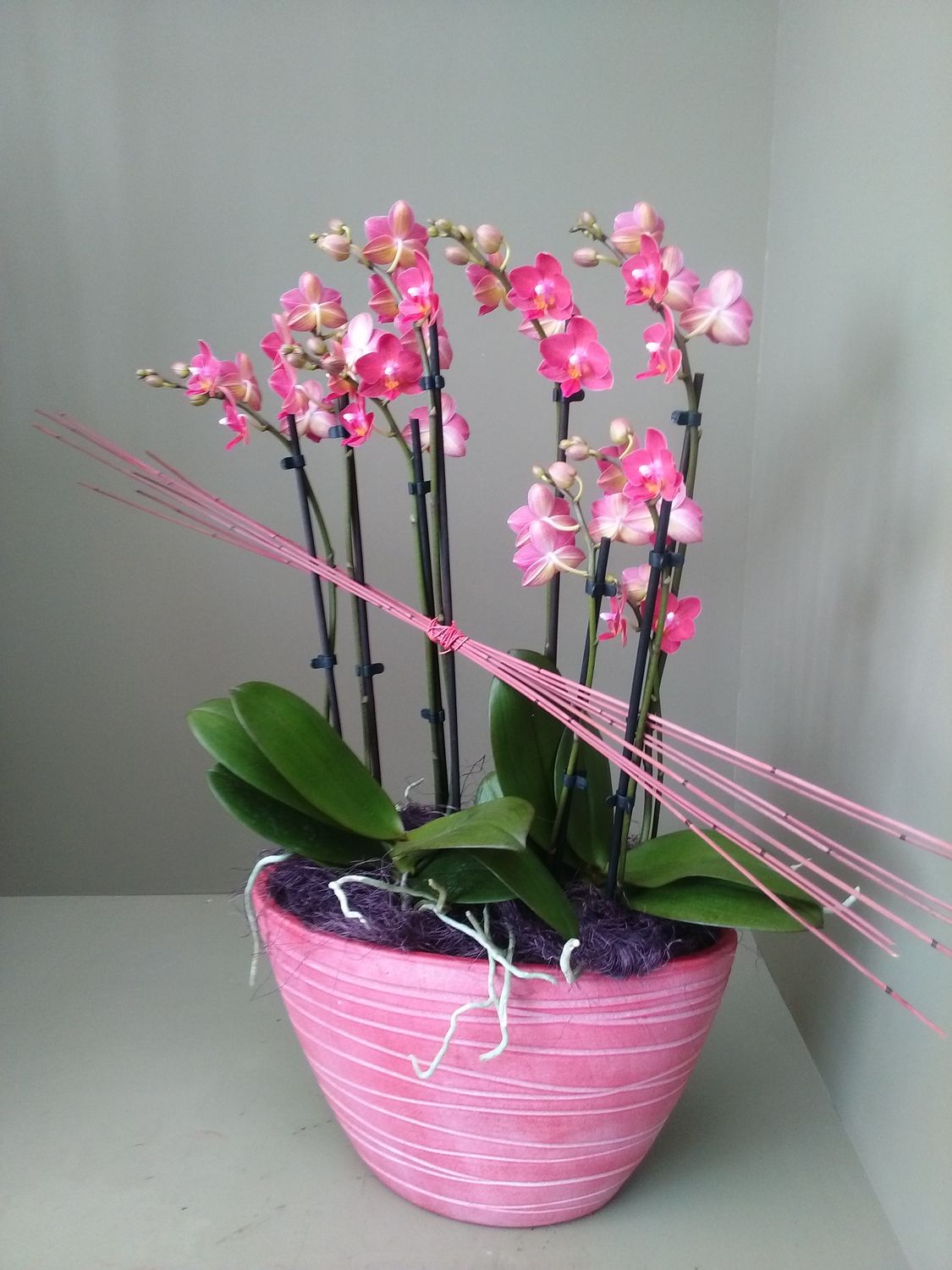 Bloemen abonnement voor 9 maanden (€ 60.00/maand)