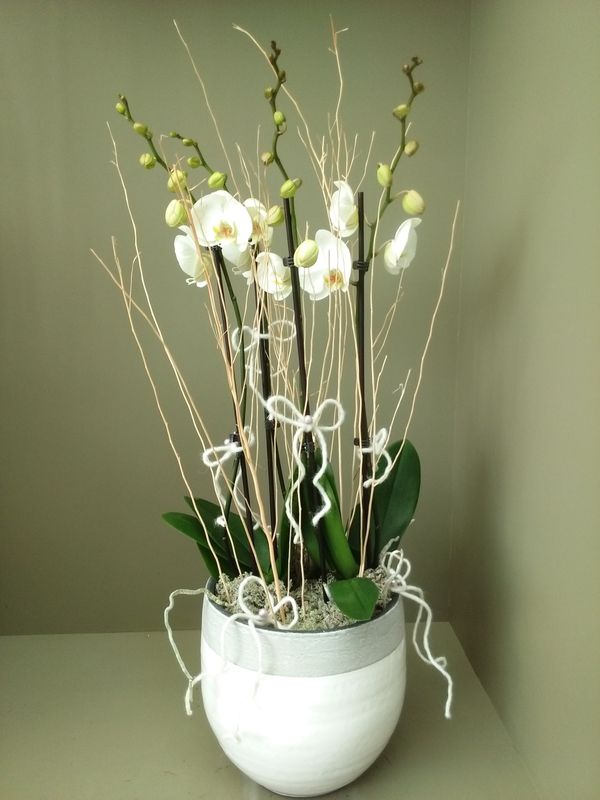 Bloemen abonnement voor 12 maanden (€ 40.00/maand)