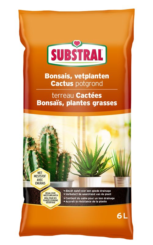 Substral potgrond Bonsais, Cactus en vetplanten 6l