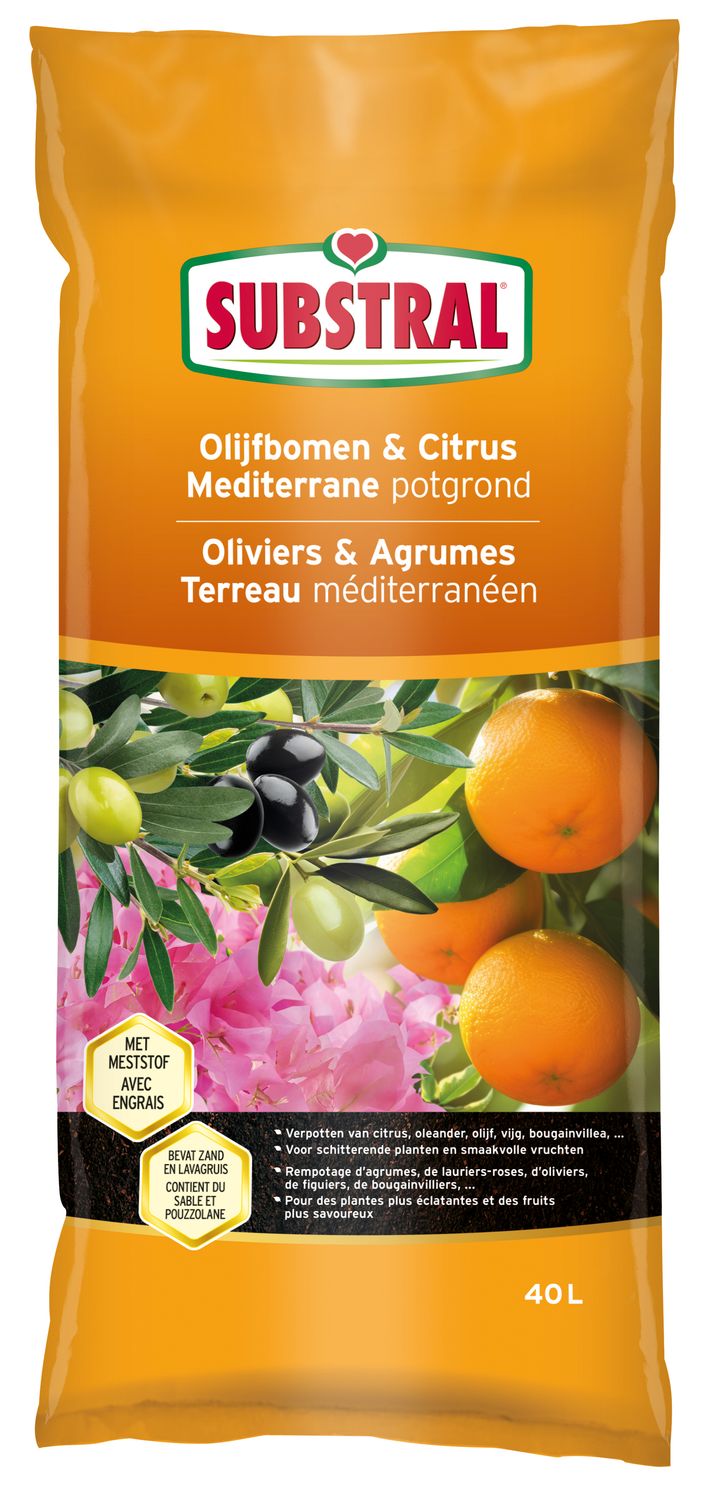 Substral Mediterrane potgrond Olijfbomen en Citrus 40l