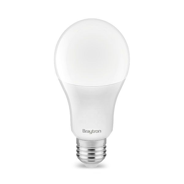 ADVANCE 13W E27 A65 6500K Daglicht Wit Led Lamp
