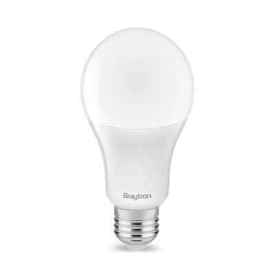 ADVANCE 13W E27 A65 6500K Daglicht Wit Led Lamp