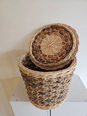 Rotan