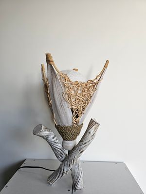 Kokoslamp rotan Liana.