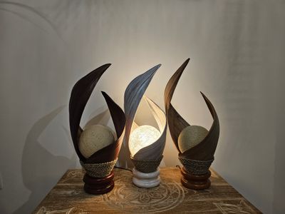 Kokoslamp Putar.
