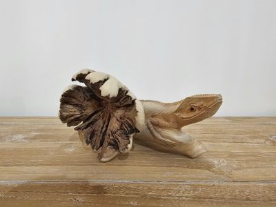 Gekko Mango wood