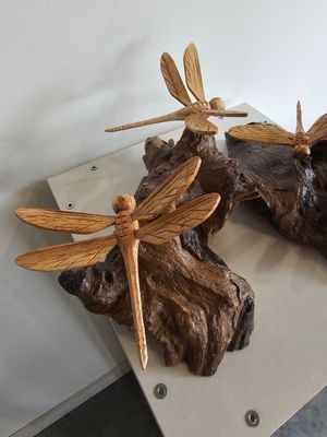 Libel/bij op hout