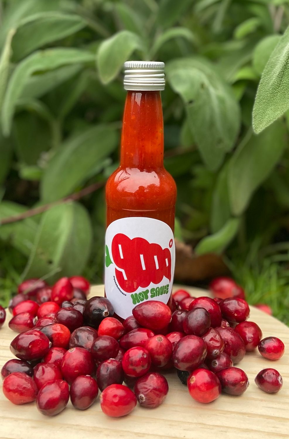 Cranberry Ghost 100ml
