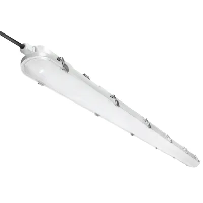 LUMI 2