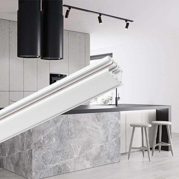 Trackline 21 rail wit.