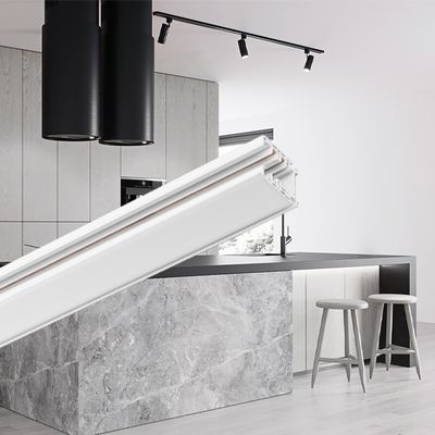 Trackline 21 rail wit.