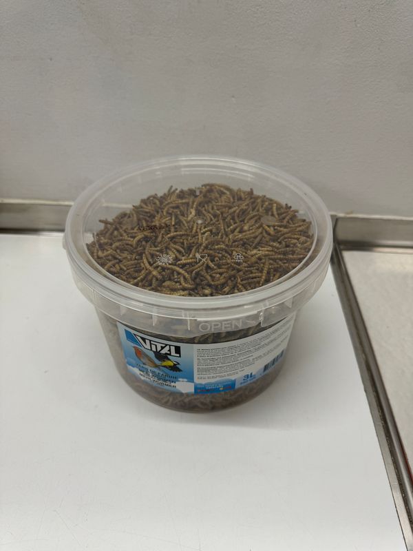 Gedroogde meelwormen 3L