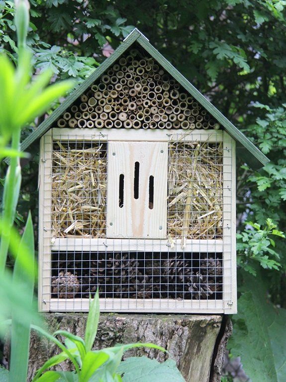 Insectenhotel M