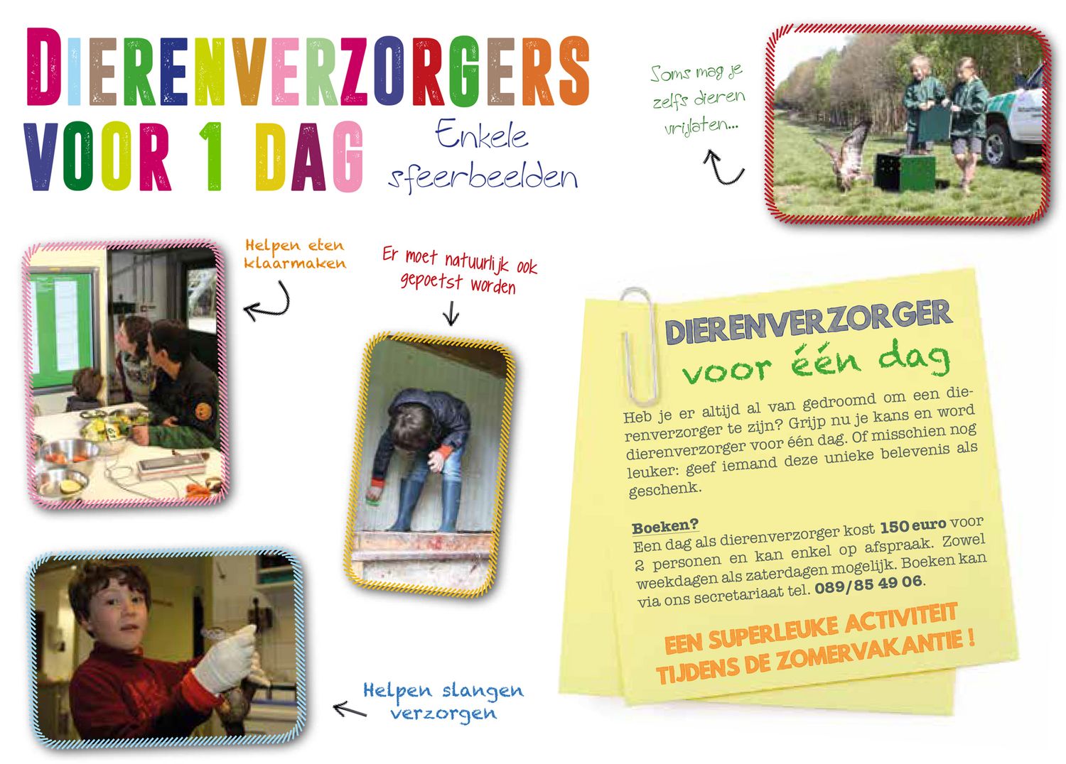 Kadobon: Dierenverzorger voor 1 dag