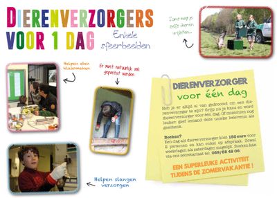 Kadobon: Dierenverzorger voor 1 dag