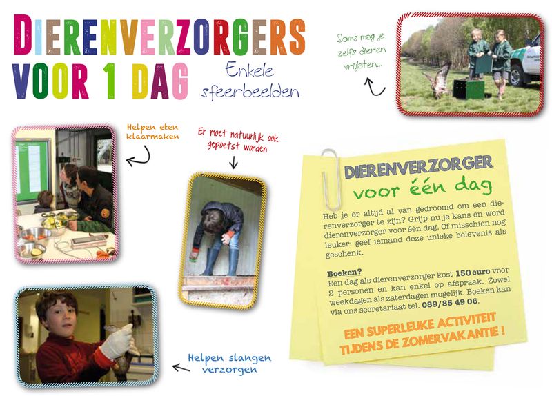 Kadobon: Dierenverzorger voor 1 dag
