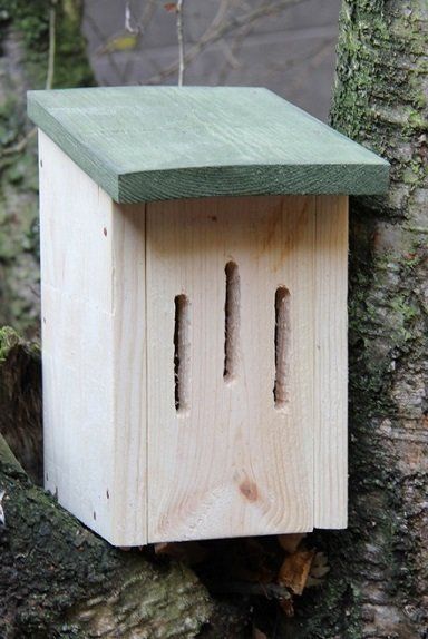 Vlinderkast