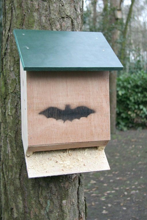 Vleermuiskast