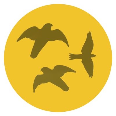 Roofvogelsilhouetten