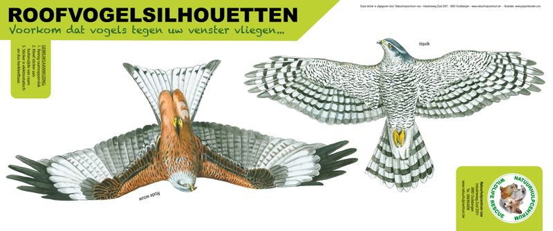 Roofvogelsilhouet Havik en Rode Wouw