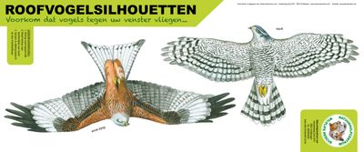 Roofvogelsilhouet Havik en Rode Wouw