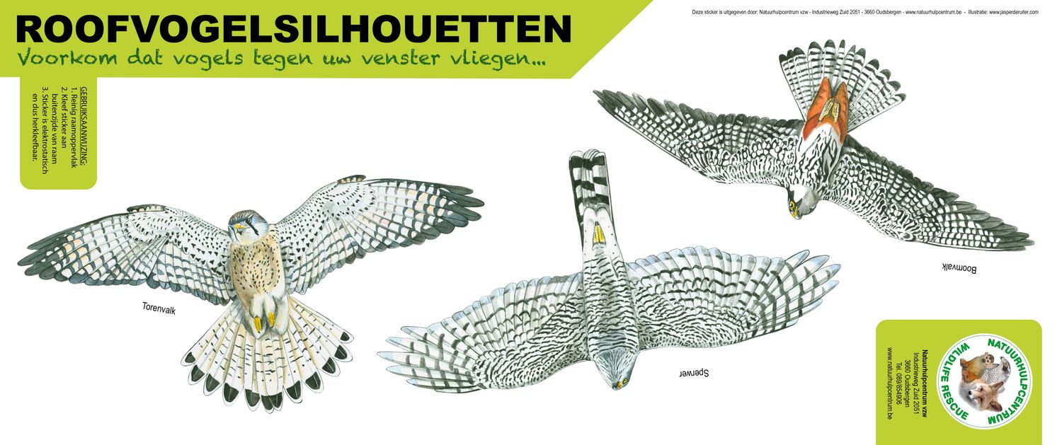 Roofvogelsilhouet sperwer, boomvalk, torenvalk